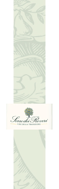Barbera D'Alba